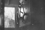 1 Photo [152'483 Bytes]